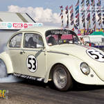 VW Beetle - Steve Pugh - VWDRC